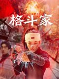 夜间的狐狸